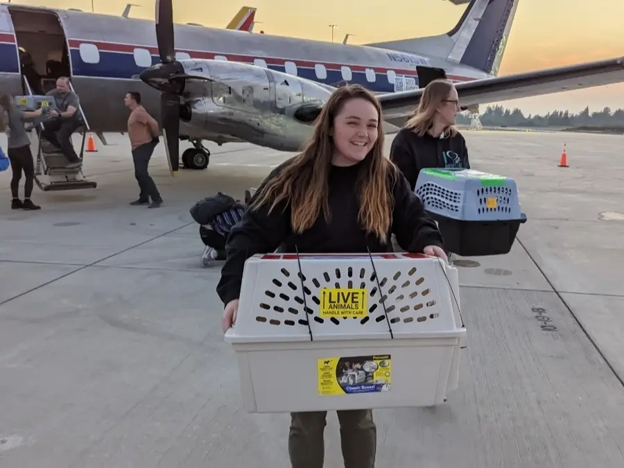 dozens-of-shelter-pets-arrive-in-wa-from-la-after-hurricane-ian