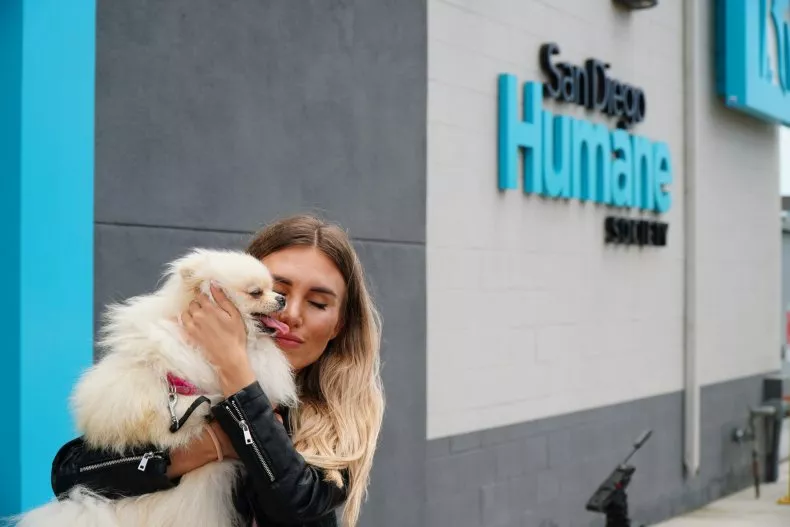 perseya-pomeranian-dog-owner