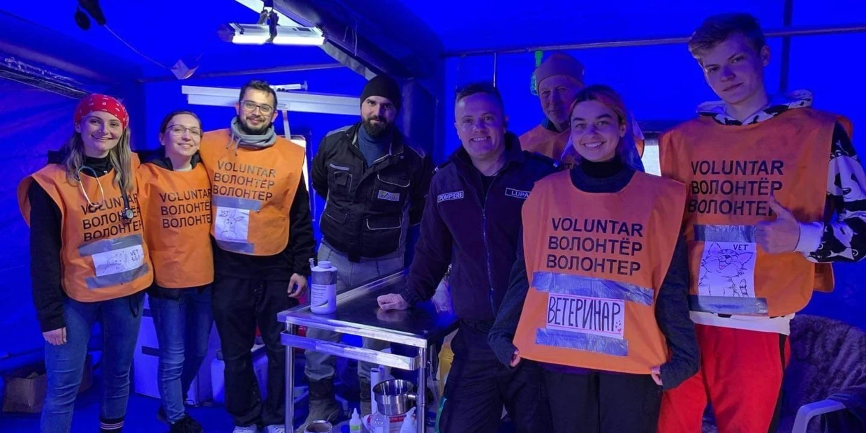 us-veterinarians-are-helping-displaced-ukrainian pets